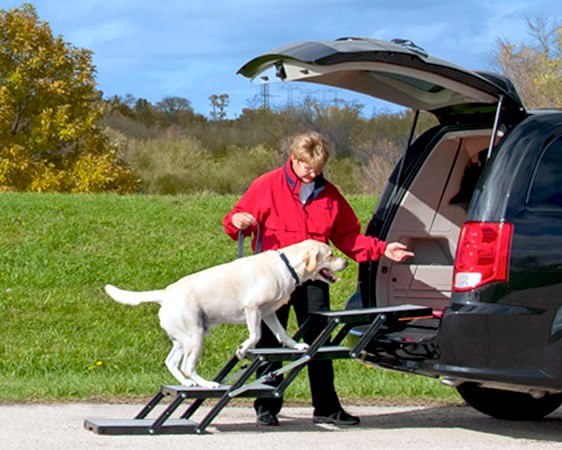 dog stairs for car