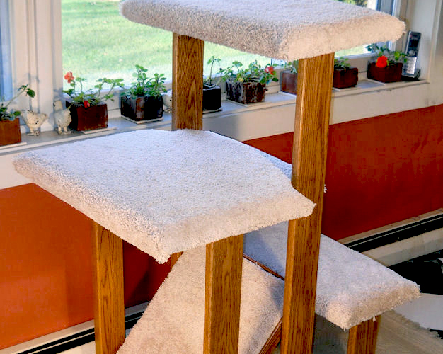3 and 4 Level Cat Trees