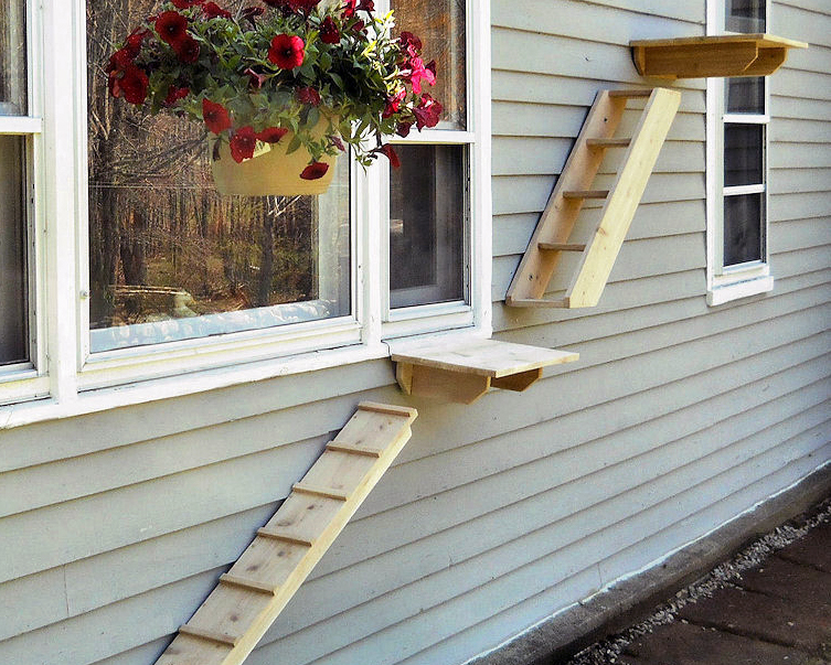 Outdoor Cat Stairs and Climbers