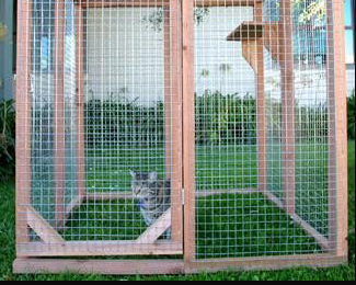 Outdoor Cat Enclosures - Outdoor Kitten Enclosures