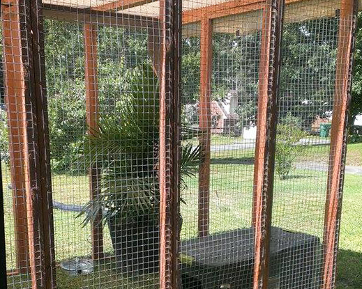 Outdoor Kitten Enclosure - Large (shown with cat mesh, kitten mesh has smaller 1 in x 1 in holes)