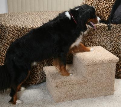 pet steps for large breed dogs