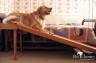 Bed Ramp for Pets - Gentle Slope